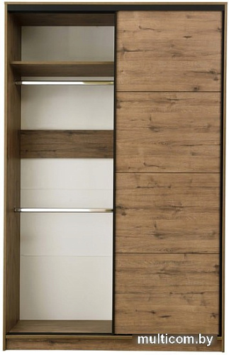 Шкаф-купе Рэйгрупп Bromo VVH 03 РГ-11.03 B 140 VVH 140x220.5 (дуб велингтон/черный)