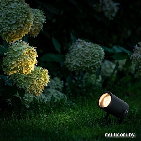 Садовый светильник Elektrostandard Landscape 35146/S (черный)