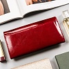 Кошелек Cedar 4U Cavaldi PN24-RS-4228 (красный)