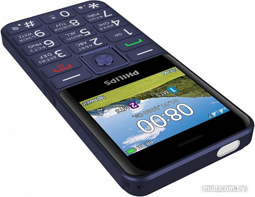 Мобильный телефон Philips Xenium E207 (синий)