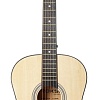 Акустическая гитара ROKSO FT-R38B-N