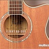 Акустическая гитара Flight AG-300C NS