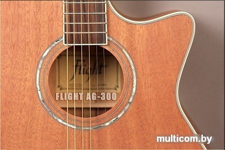 Акустическая гитара Flight AG-300C NS
