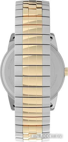 Наручные часы Timex TW2V40100