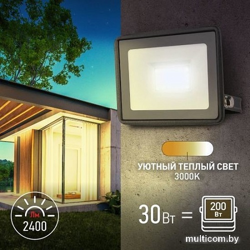 Уличный прожектор ЭРА LPR-023-0-30K-030