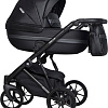 Универсальная коляска Riko Basic Delta Ecco (2 в 1, 15/black)