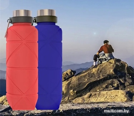 Бутылка для воды Coyote 010800004B 700мл (красный)