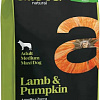 Сухой корм для собак Alleva Natural Lamb &amp; Pumpkin Medium/Maxi (ягненок с тыквой) 12 кг