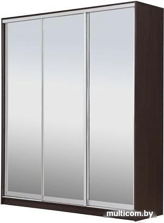 Шкаф-купе Рэйгрупп 233450 VVX Elgon РГ-01.04 (венге/хром)