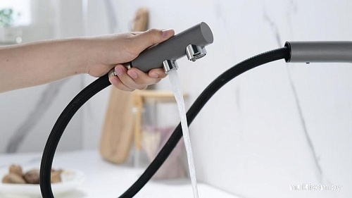 Смеситель Paulmark Serpentine SE213222-GRM (серый/серый металлик)