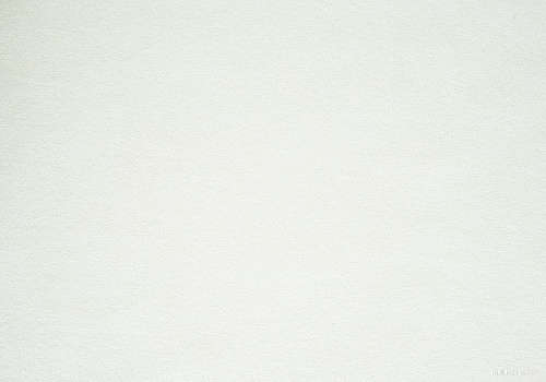 Декоративная подушка Сонум Тедди 17x50 (кремовый)