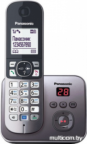 Радиотелефон Panasonic KX-TG6821RUM