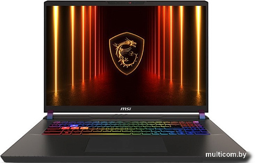 Игровой ноутбук MSI Vector 17 HX AI A2XWJG-038BY