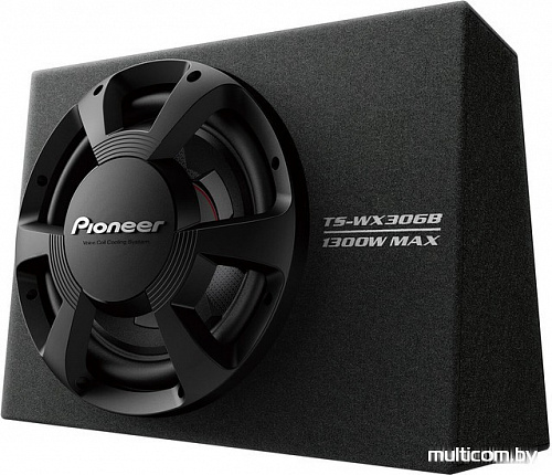 Корпусной пассивный сабвуфер Pioneer TS-WX306B
