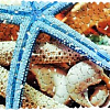 Коврик для ванной FORA Морская звезда FOR-SPA07