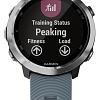 Умные часы Garmin Forerunner 645 (бежевый)
