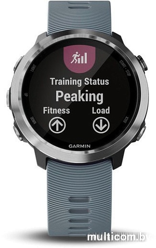Умные часы Garmin Forerunner 645 (бежевый)