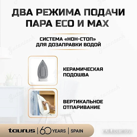 Утюг Taurus Sliding Spacex 3000 NS