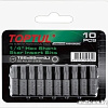 Набор бит Toptul FSEA1225G (10 предметов)