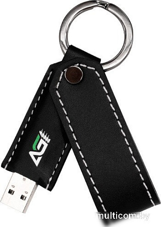 USB Flash AGI AGI512G32UE238 512GB (черный)