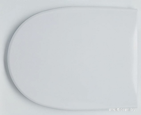 Сиденье для унитаза Saniteco SD 16m (с микролифтом)