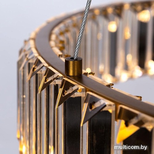 Подвесная люстра Divinare Renata 1135/17 SP-36