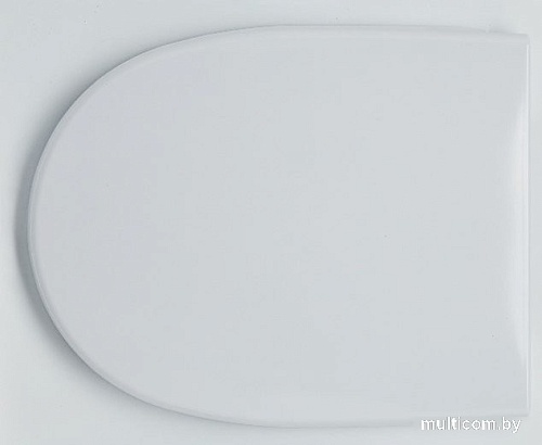 Сиденье для унитаза Saniteco SD 16m (с микролифтом)