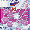 Средство для унитаза Domestos Power 5 Ледяная магнолия Дуо 2х55 г