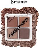 Палитра теней Shinewell Charm Palette LCS2-04 (светло-коричневый/темно-коричневый)