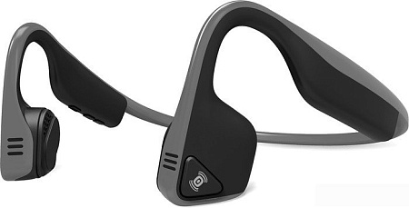 Наушники AfterShokz Trekz Titanium (черный)