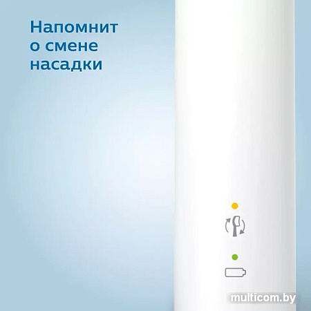 Электрическая зубная щетка Philips 3100 series HX3673/13