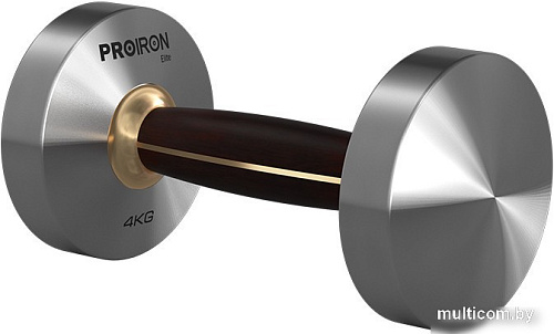 Гантель Proiron Г1040НЧ (4 кг)