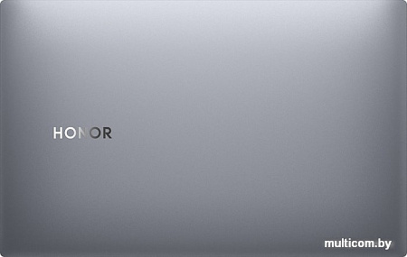 Ноутбук HONOR MagicBook Pro 16 HLYL-WFQ9 53011FJC