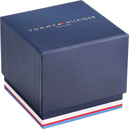 Наручные часы Tommy Hilfiger Asher 1791851