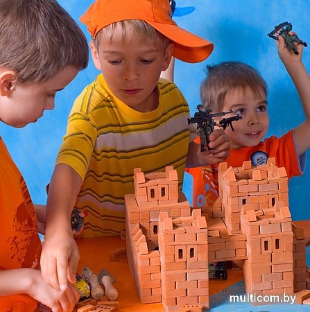 Сборная модель БрикНик Замок