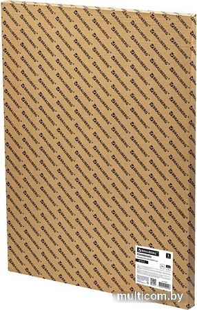 Пенокартон BRAUBERG матовая 50x70 410 г/м2 5 л 112472