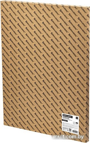 Пенокартон BRAUBERG матовая 50x70 410 г/м2 5 л 112472