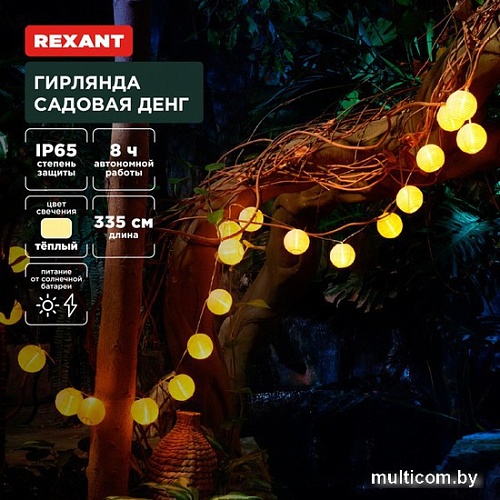 Новогодняя гирлянда Rexant Денг 602-2427