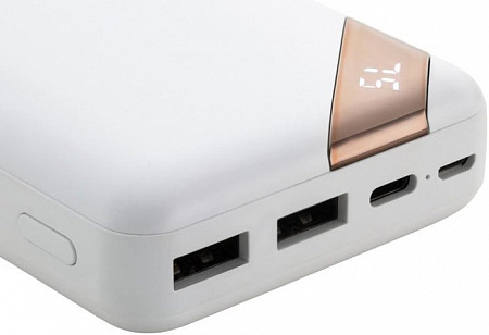 Портативное зарядное устройство Canyon CNE-CPBP20W