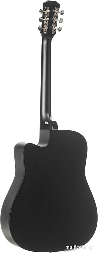 Акустическая гитара ROKSO FT-221-BK