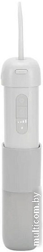 Ирригатор Polaris PWF 1002 T (серый)
