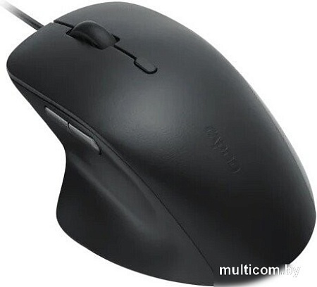 Мышь Rapoo N500 (черный)