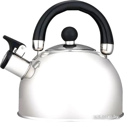 Чайник со свистком Hitt Standard H01021
