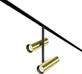 Трековый светильник Maytoni Elti Duo TR005-2-2X12W3K-BBS
