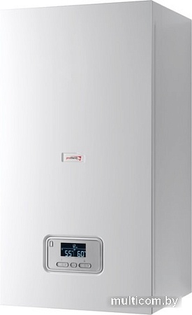 Отопительный котел Protherm Ray (Скат) 9 KE /14 0010023647