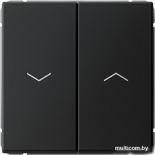 Выключатель для жалюзи Systeme Electric ArtGallery GAL001019