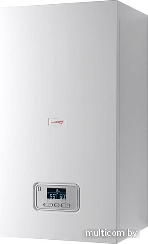 Отопительный котел Protherm Ray (Скат) 9 KE /14 0010023647