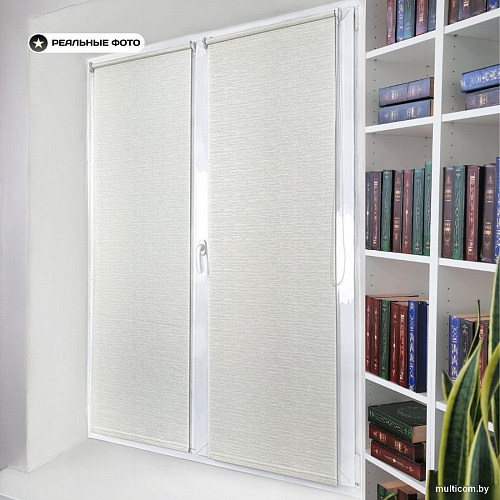 Рулонные шторы Sundays Home Форест 61х160 с 2-мя направляющими LM-15 150см (белый)