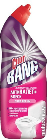 Средство для унитаза Cillit Bang АнтиНалет+блеск Сила весны 750 мл