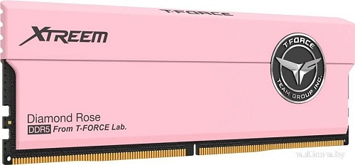 Оперативная память Team T-Force Xtreem 2x16ГБ DDR5 7600 МГц FFPD532G7600HC36FDC01